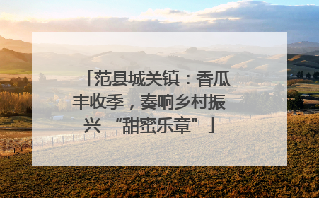 范县城关镇：香瓜丰收季，奏响乡村振兴 “甜蜜乐章”