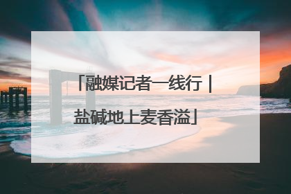 融媒记者一线行｜盐碱地上麦香溢