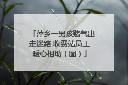 萍乡一男孩赌气出走迷路 收费站员工暖心相助（图）