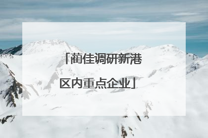 蔺佳调研新港区内重点企业