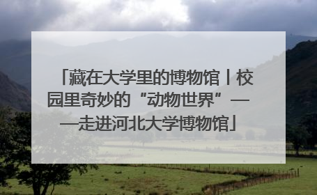 藏在大学里的博物馆丨校园里奇妙的“动物世界”——走进河北大学博物馆