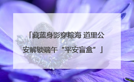 藏蓝身影穿粽海 道里公安解锁端午“平安盲盒”