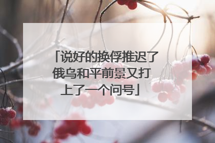 说好的换俘推迟了 俄乌和平前景又打上了一个问号