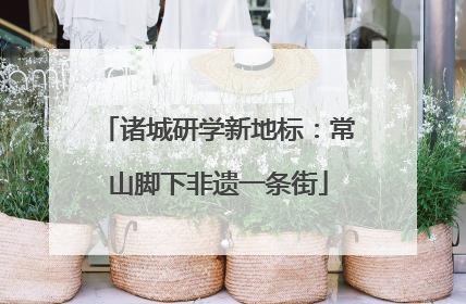 诸城研学新地标：常山脚下非遗一条街