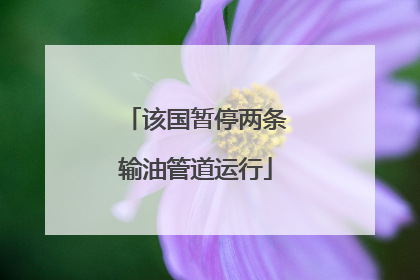 该国暂停两条输油管道运行