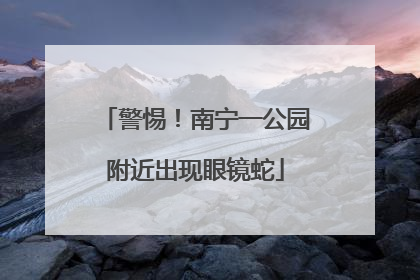 警惕！南宁一公园附近出现眼镜蛇