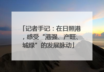 记者手记：在日照港，感受“港强、产旺、城绿”的发展脉动