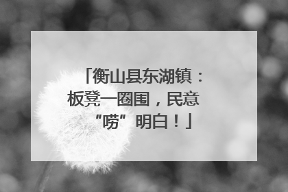 衡山县东湖镇：板凳一圈围，民意“唠”明白！