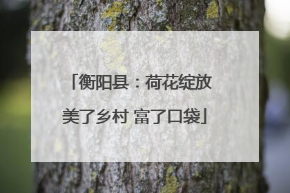衡阳县：荷花绽放 美了乡村 富了口袋