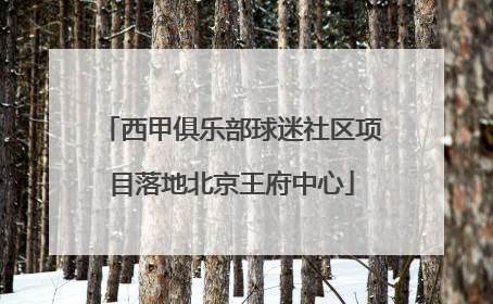 西甲俱乐部球迷社区项目落地北京王府中心