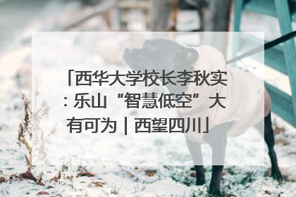 西华大学校长李秋实：乐山“智慧低空”大有可为｜西望四川