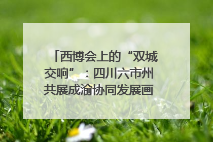 西博会上的“双城交响”：四川六市州共展成渝协同发展画卷｜西博视界