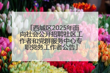 西城区2025年面向社会公开招聘社区工作者和党群服务中心专职党务工作者公告