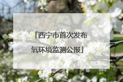 西宁市首次发布氧环境监测公报