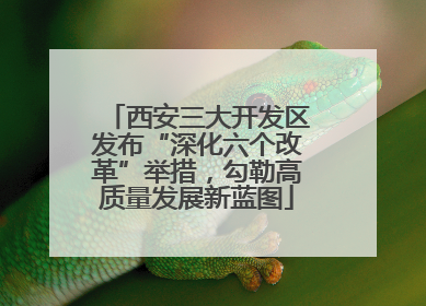 西安三大开发区发布“深化六个改革”举措，勾勒高质量发展新蓝图