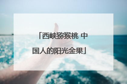 西峡猕猴桃 中国人的阳光金果