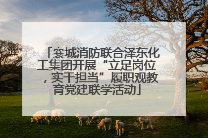 襄城消防联合泽东化工集团开展“立足岗位，实干担当”履职观教育党建联学活动