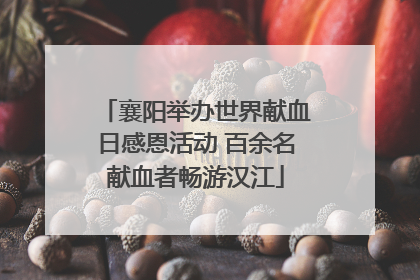 襄阳举办世界献血日感恩活动 百余名献血者畅游汉江