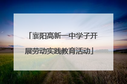 襄阳高新一中学子开展劳动实践教育活动