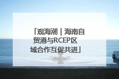 观海潮｜海南自贸港与RCEP区域合作互促共进