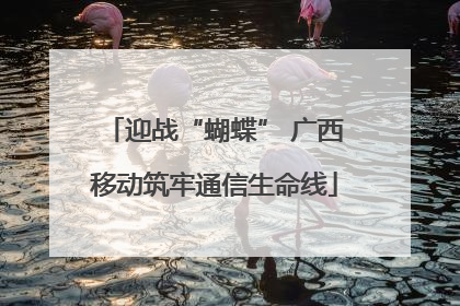 迎战“蝴蝶” 广西移动筑牢通信生命线