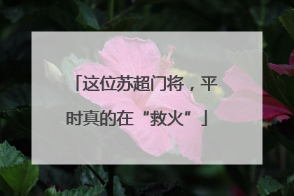 这位苏超门将，平时真的在“救火”