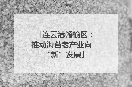 连云港赣榆区：推动海苔老产业向“新”发展