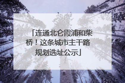 连通北仑霞浦和柴桥！这条城市主干路规划选址公示
