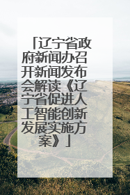 辽宁省政府新闻办召开新闻发布会解读《辽宁省促进人工智能创新发展实施方案》