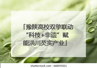 豫陕高校双擎联动 “科技+非遗”赋能潢川芡实产业