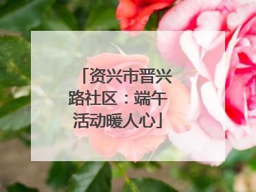 资兴市晋兴路社区：端午活动暖人心