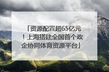 资源配置超65亿元！上海搭建全国首个政企协同体育资源平台
