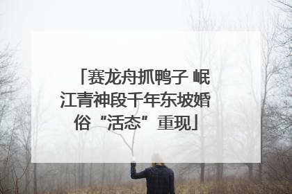 赛龙舟抓鸭子 岷江青神段千年东坡婚俗“活态”重现