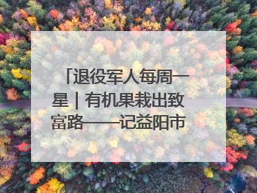 退役军人每周一星｜有机果栽出致富路——记益阳市银城南湖蔬果农民专业合作社总经理晏桂明