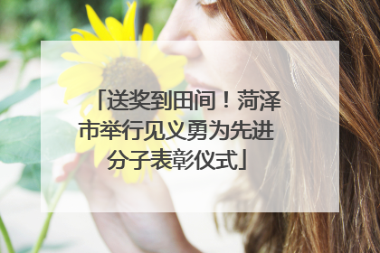 送奖到田间！菏泽市举行见义勇为先进分子表彰仪式
