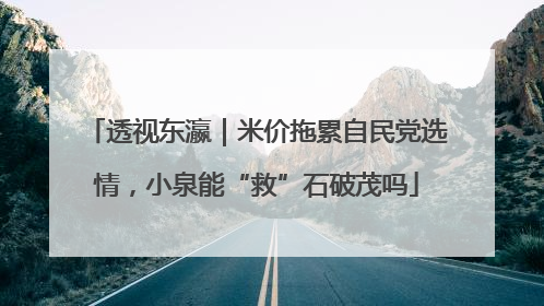 透视东瀛｜米价拖累自民党选情，小泉能“救”石破茂吗