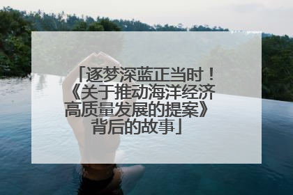 逐梦深蓝正当时！《关于推动海洋经济高质量发展的提案》背后的故事