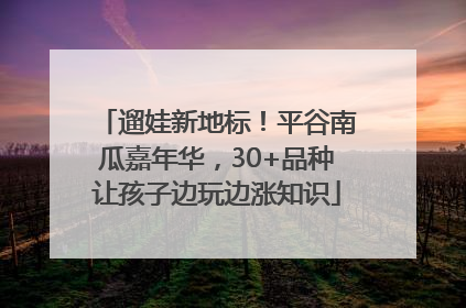 遛娃新地标！平谷南瓜嘉年华，30+品种让孩子边玩边涨知识