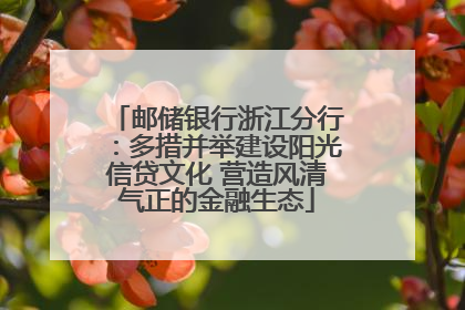 邮储银行浙江分行：多措并举建设阳光信贷文化 营造风清气正的金融生态