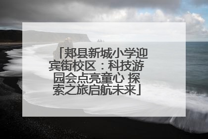 郏县新城小学迎宾街校区：科技游园会点亮童心 探索之旅启航未来