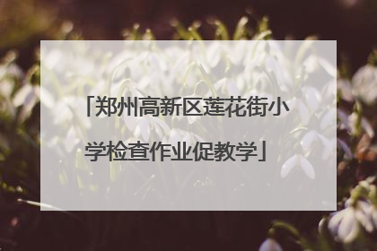 郑州高新区莲花街小学检查作业促教学