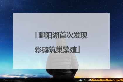 鄱阳湖首次发现彩鹮筑巢繁殖