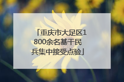 重庆市大足区1800余名基干民兵集中接受点验