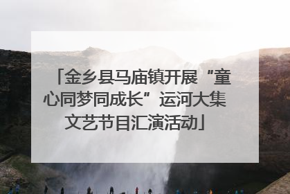 金乡县马庙镇开展“童心同梦同成长”运河大集文艺节目汇演活动
