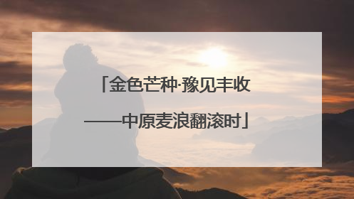 金色芒种·豫见丰收——中原麦浪翻滚时