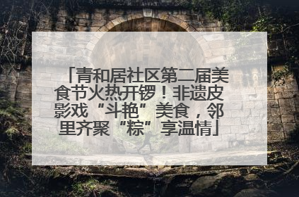 青和居社区第二届美食节火热开锣！非遗皮影戏“斗艳”美食，邻里齐聚“粽”享温情
