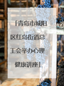 青岛市城阳区红岛街道总工会举办心理健康讲座