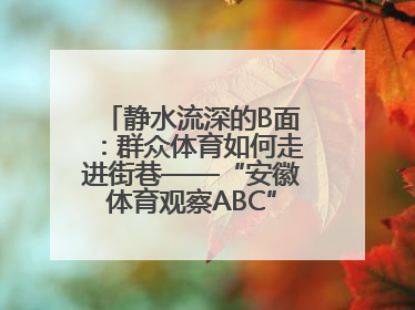 静水流深的B面：群众体育如何走进街巷——“安徽体育观察ABC”系列报道之二