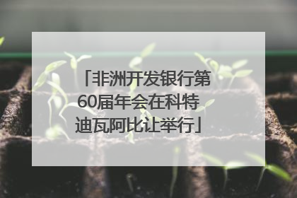 非洲开发银行第60届年会在科特迪瓦阿比让举行