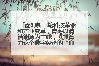 面对新一轮科技革命和产业变革，青海以清洁能源为主线，紧抓算力这个数字经济的“血液”、科技主权的“筹码”、产业升级的“杠杆”、绿色转型的“支点”，勇于撬动国家“双碳”战略、“东数西算”工程重大发展新机遇